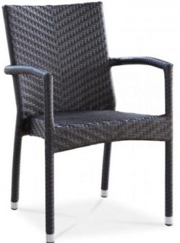 Palm Arm Chair- Black